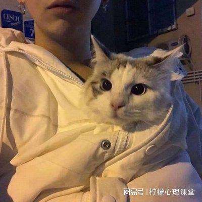 烈焰裁决手游4399版下载