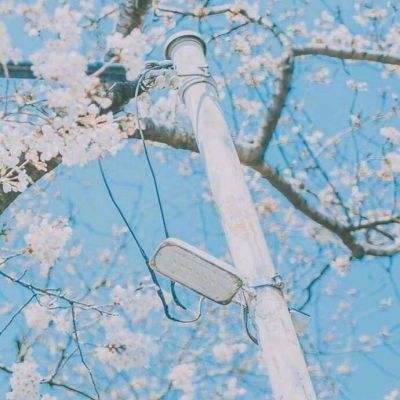 梦幻剑灵手机版下载